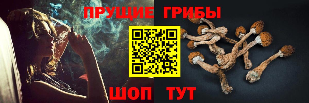Галлюциногенные грибы Magic Shrooms  Вход с VPN  Сарапул  Псилоцибиновые грибы ЛСД 