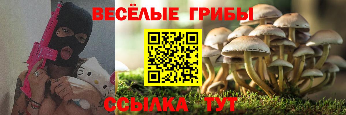 Галлюциногенные грибы прущие грибы Сарапул